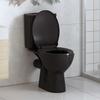 Toilet Seat with Soft Close Mechanism and Quick Release Function Black