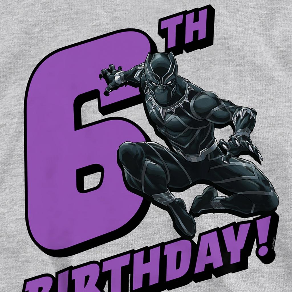 Black Panther Childrens/Kids Heather Pull Over 6th Birthday Hoodie