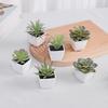 6PCS (УСТАНОВЛЕН) Мини Искусственный Суккулент Зеленое Растение Пластиковый Белый Горшок, Декор для Подоконника Дома, Стола Ресторана, Книжной Полки