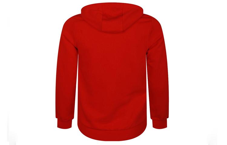 adidas Мужские толстовки с капюшоном Neo, средняя посадка, regular, GE5500