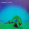 12-дюймовая пластинка WISHPLANTS Tortoiseshell EP WOKT2035 China Records 1993 UK Rock Б/у