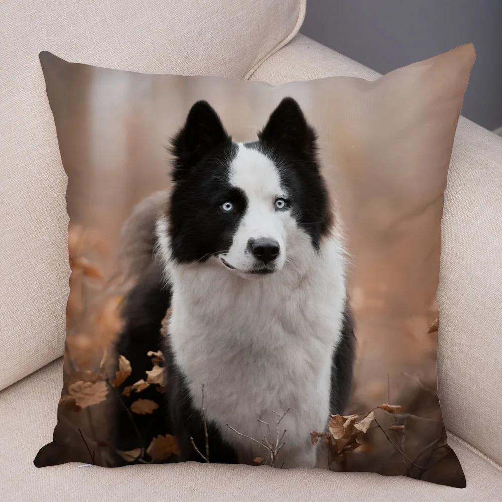 Soft Plush Cute Pet Animal Cushion Cover Scotland Border Collie Pillowcase for Sofa Car Decor Dog Printed Pillow Case