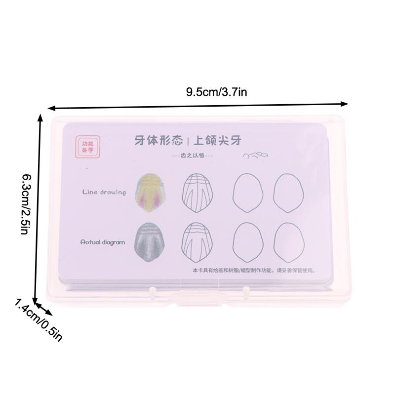 Стоматологическая композитная пломбировочная доска для практического применения Модель Зубы Шаблон Реставрация Полости Стоматолог Передняя Задняя Практика Стек Смолы