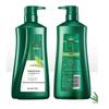 100 Years Hair Purifying Oil Control Shampoo