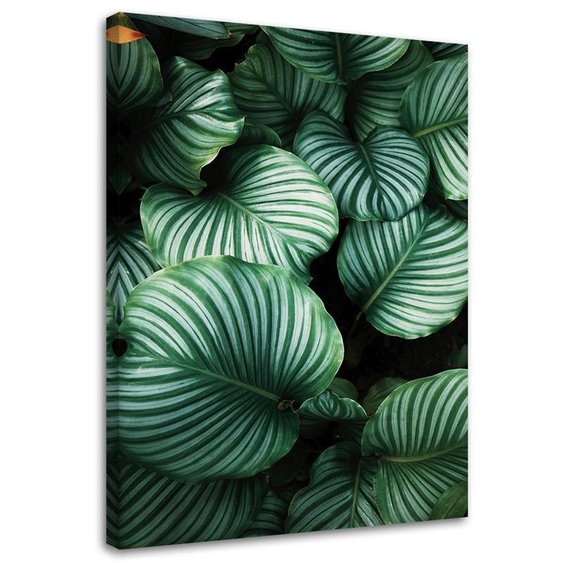 Canvas Print, Tropical Leaves