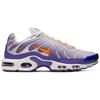 Nike Air Max Plus 'Color Flip' Мужские CI5924-531
