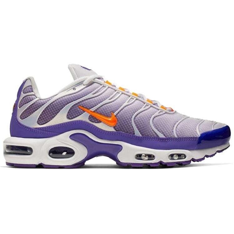 Nike Air Max Plus 'Color Flip' Мужские CI5924-531