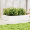 VidaXL Planter White 110x110x23 Cm Solid Pine Wood, Outdoor Planter, Flower Box, Plant Box, Planter 847214