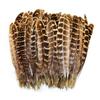 Natural Pheasant Feather for Clothes 4-6"/10-15CM High Quality Dyed Female Feathers for Crafts Jewelry Accessories Cheap Plumes
