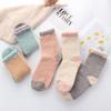 Candy Colors Sleep Bed Sock Winter Warm Coral velvet socks Soft Cashmere Sox Thickening