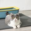 Двухслойный наполнитель для кошачьего туалета из ЭВА, наполнитель для кошачьего туалета, вынимаемый из лотка, коврик для домашних животных, накладка для лапок кошек, фильтрующая накладка, моющаяся