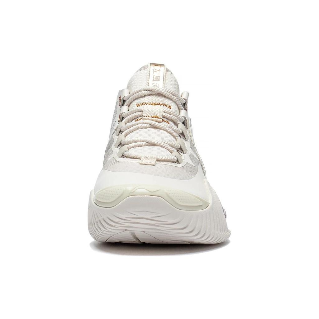 Баскетбольные кроссовки Li Ning Badfive 2 Low Мужские Низкие Серые ABFR005-13