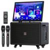 Songchuan SA20 Уличный Bluetooth-динамик KTV Штепсель CN (адаптер в комплекте)