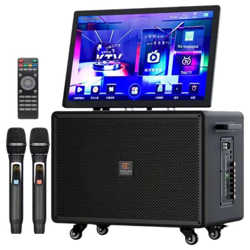 Songchuan SA20 Outdoor KTV Bluetooth Speaker CN plug (adapter included) (CN version)
