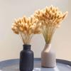 Rabbit Tail Grass Dried Flower Bouquet Home Decoration Flower Arrangement Dog Tail Grass Dried Flower Rabbit Tail Grass