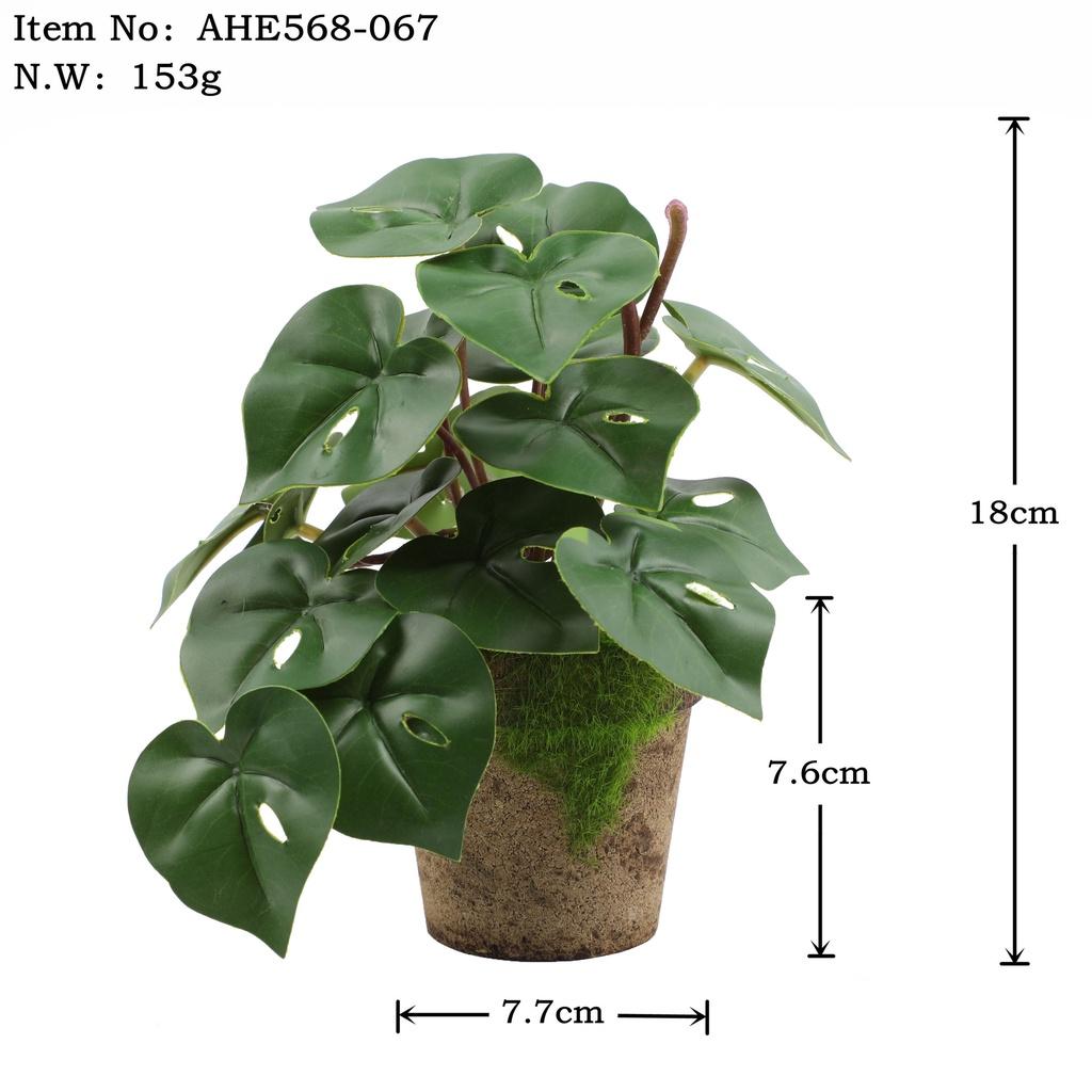 Искусственные зеленые растения для настольного украшения в помещении Эвкалипт Лист банана Спина черепахи Маргаритка Гибискус