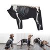 Dog Skeleton Print Shirt Fashion Pet Hoodie Costume for Halloween Party Breathable Stretchy Shirt Festival Outfit