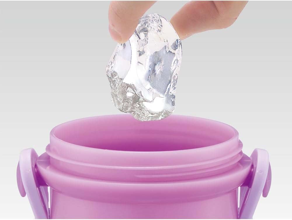 Skater Дисней Рапунцель Бутылка для воды, 24 унции (480ml), Детский пластик, Безопасный для детей, Легкий, Сделано в Японии, PSB5SANAG-A