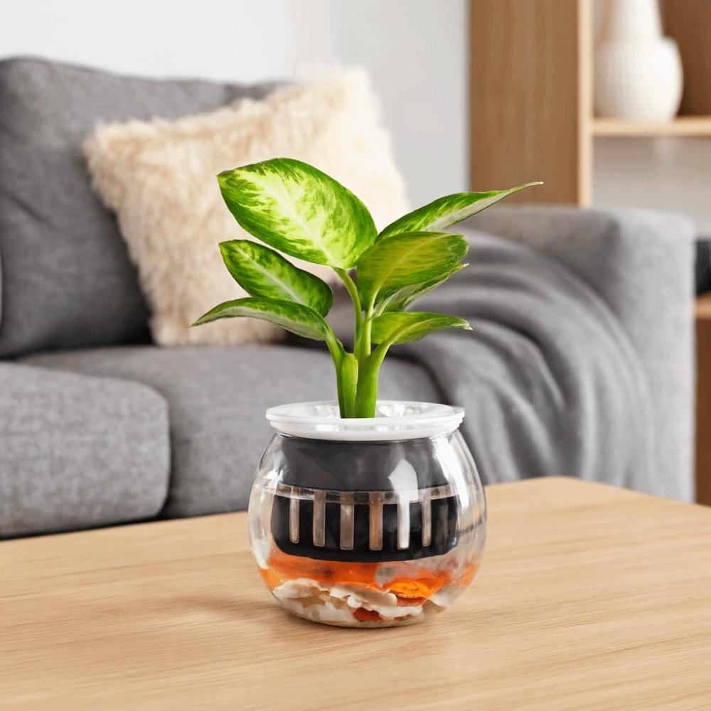 Пластиковый Цветочный Горшок Прозрачный Аквариум Креативные Горшки для Растений с Автополивом Настольный