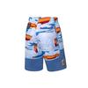 Спортивные шорты Li Ning мужские разноцветные AAPP443-1