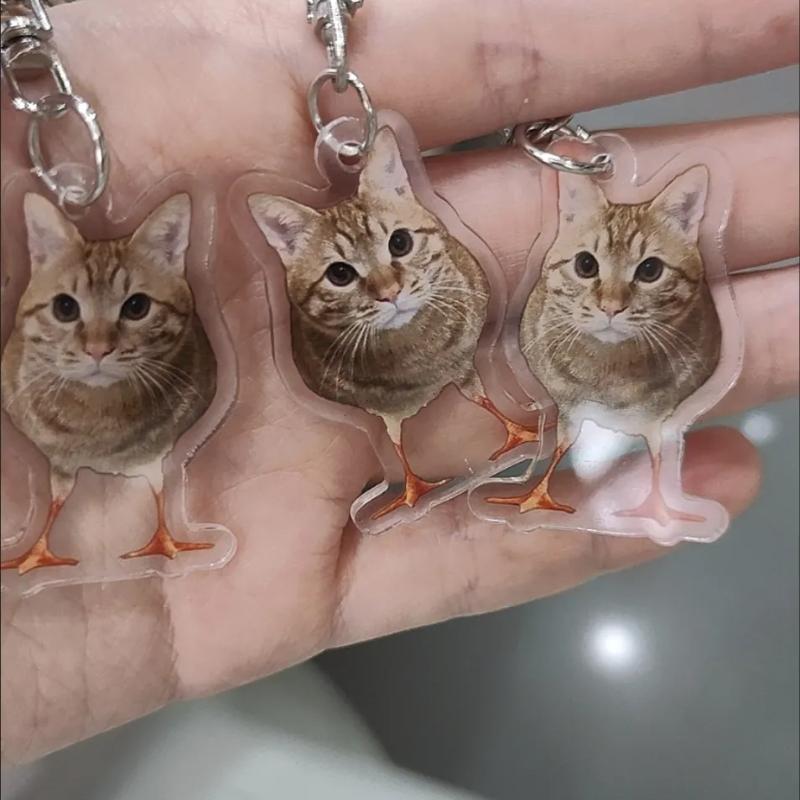 Забавный Курица Кот Акриловый Брелок Странное Тело Кота Куриные Лапки Подвеска на Сумку Милый Мем Аксессуар Подарок для Пары Для Рюкзаков