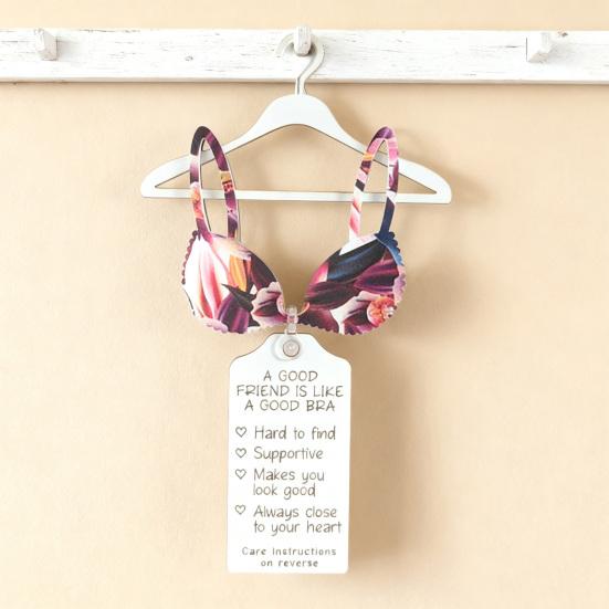 Хороший друг как хороший бюстгальтер украшение смешной лучший