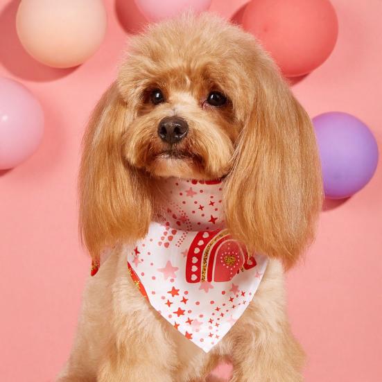 Салфетки для слюны питомца Регулируемый ремешок Изысканный узор в виде сердечек Ткань для чистки питомца Вечеринка в честь Дня святого Валентина питомца День рождения