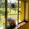 Indoor Outdoor Party Supplies Halloween Spider Static Window Clings, PVC Waterproof Web Decals, House Ornaments Removable Spooky Stickers for