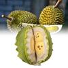 Removable Plush Durian Toy Dolls Soft Room Decoration Ornament Gifts Children