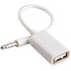 Usb Female To Dc 3.5Mm Male Car Aux To Usb O Conversion Cable (White)