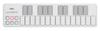 KORG Classic USB MIDI Keyboard nanoKEY2 WH White Music Production DTM Compact Design Makes It Ideal for Carrying Software License Included 25 Keys