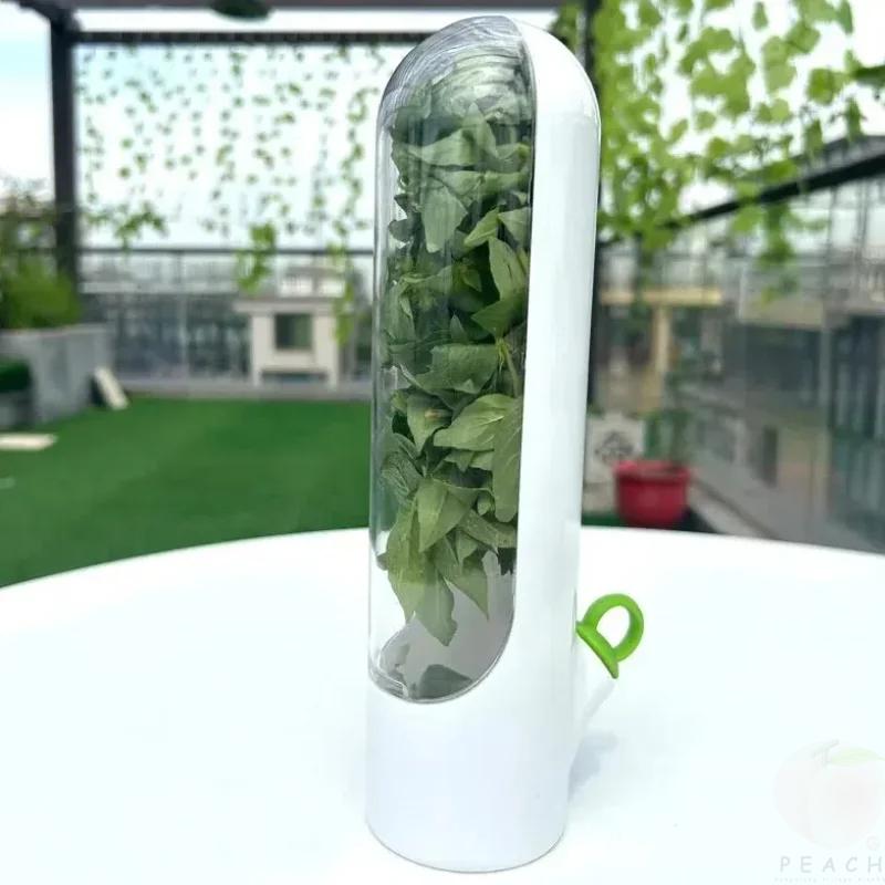 Ванильный овощной контейнер для хранения свежести Пыленепроницаемый Защита от давления Защита окружающей среды Устройство для сохранения свежести Креативный