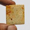 Natural Fossil Coral Gemstone Cabochon, Top Quality Indonesians Fossil Coral Cabochon Craft Supply 56 Carats Rectangle Shape, Jewelry Making
