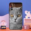 British Shorthair Cat Case For Samsung Galaxy A55 A16 A26 A36 A56 A54 A34 A14 A15 A35 A52 A12 A32 A13 A33 A53 A17