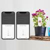 Zigbee Humidity Temperature Tester App Remote Monitoring Moisture Meter Temperature and Humidity Meter for Plants