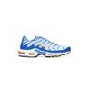 Кроссовки AIR MAX PLUS