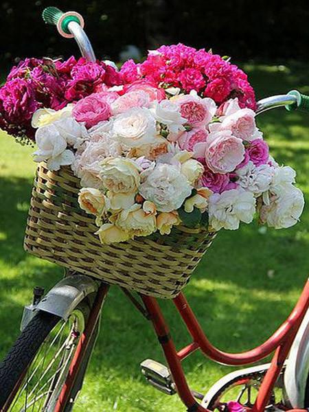 Алмазная картина велосипед Алмазная вышивка мозаика цветок вышивка крестом мозаика ремесла комплект украшения дома