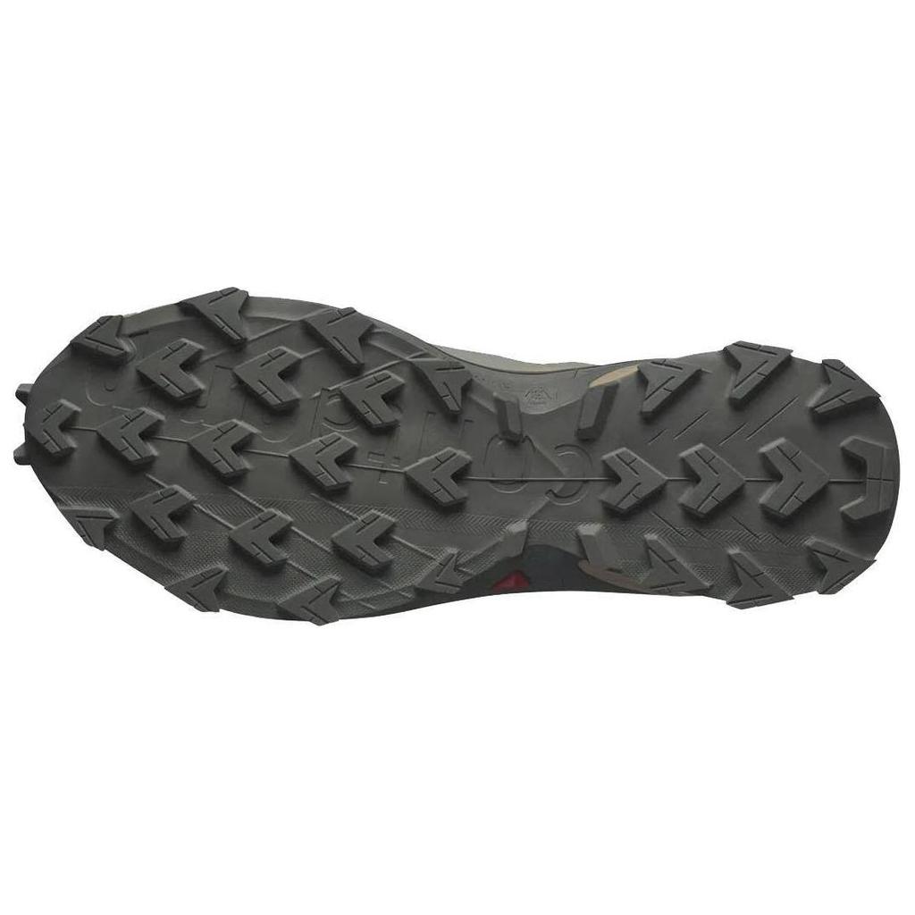 SALOMON Supercross 4 Удобные Нескользящие Прочные Низкие Кроссовки для Хайкинга Мужские Кроссовки для Хайкинга Серые L47594300