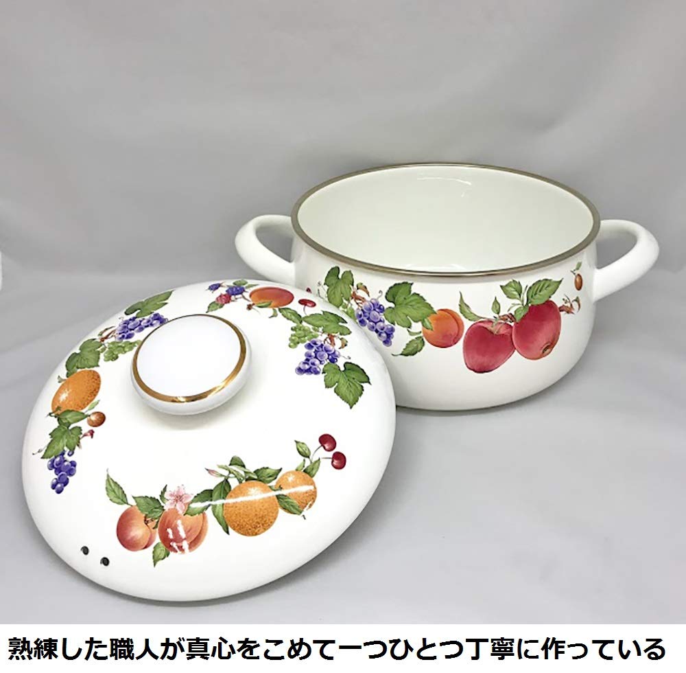 Fuji Enamel Pot 20cm Fruitus Collection 2 Two-Handed FTC-20W