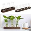With Wooden Tray Plant Terrarium Propagation Station Transparent Bulb Vase  Home Decoration