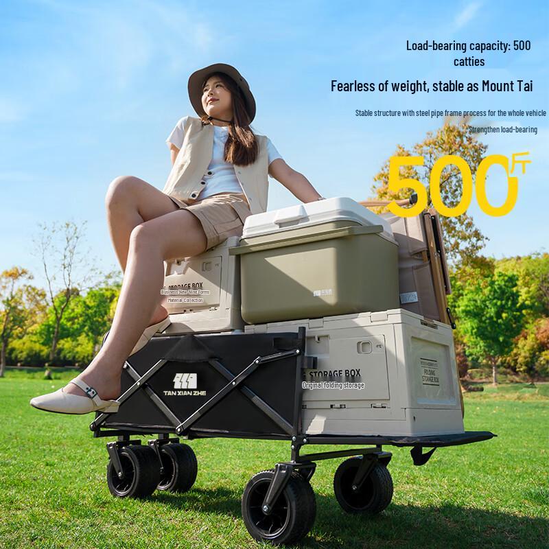 Explorer Heavy-Duty Folding Utility Wagon