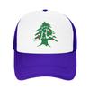 Lebanon Flag Map Beirut Cedar Tree Lebanese Mesh Baseball Cap Unisex Sport Trucker Hat  Hats Breathable Summer Trucker Caps