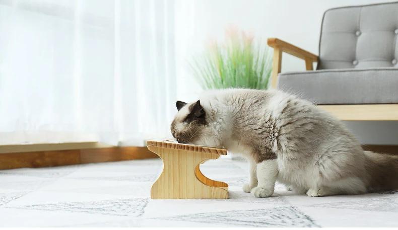 Керамическая миска для кошки Товары для питомцев Миска для кошачьей еды Керамическая миска на высоких ножках Наклонная Массив дерева