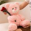 Adorable Brown And Pink Teddy Bear Plush Toy Perfect For Girlfriend Valentine's Gift