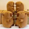 Bubble Capybara Plus Toy Stuffed Kids Room Decor Hugging Plush Doll for Teens