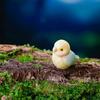 4PCS/SET Cartoon Style Parrot Decorations Resin Landscape Decoration Desktop Decoration  Landscaping