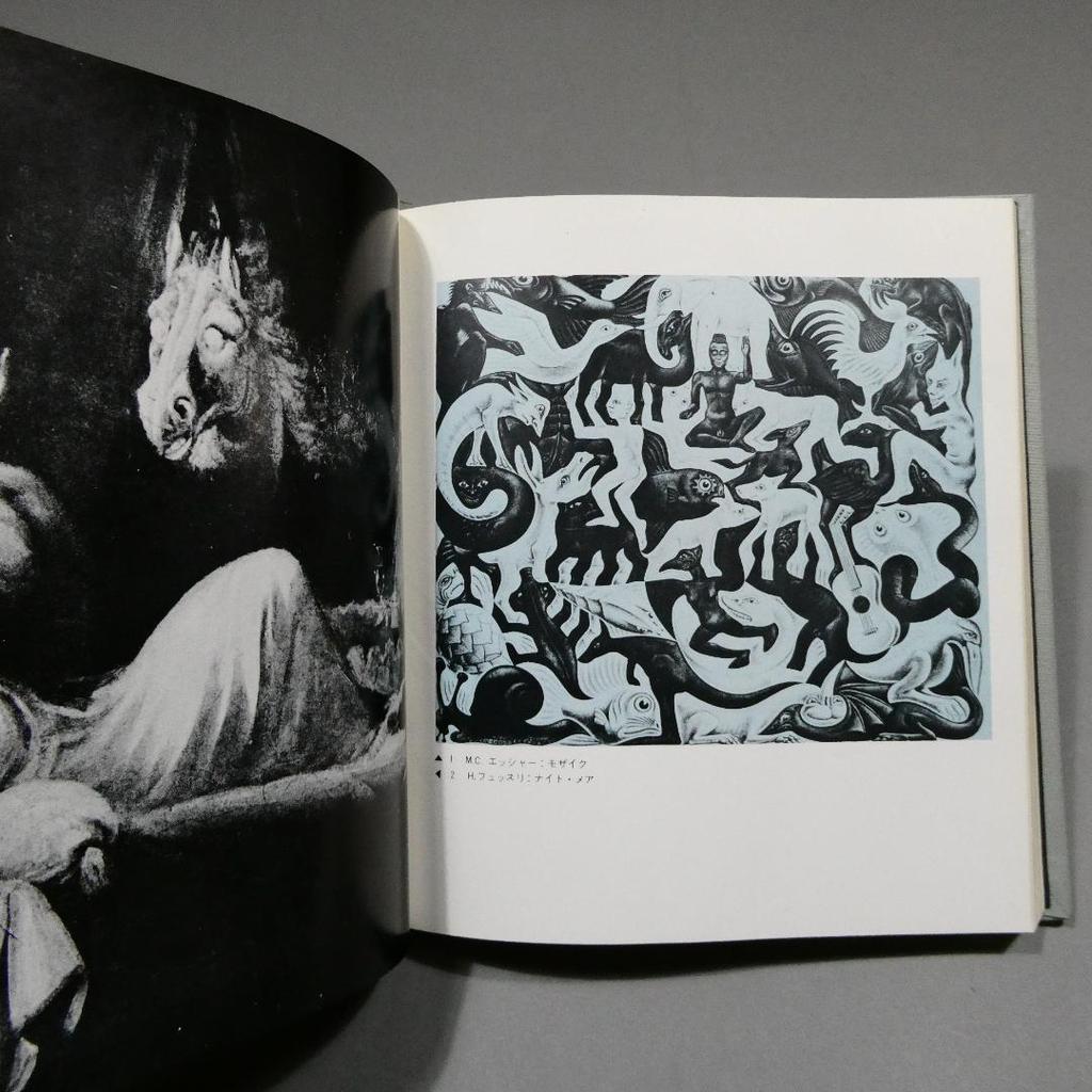 [Б/У] Вампирская Фантазия Розенкрейцерское Общество Токихиро Танемура Иллюстрация переплета Юри Нонака Вампирская Галерея 1970 Первое издание