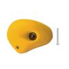 Rock Climbing Holds with Mounting Screw Holds Up To 230Lbs Kids Adults Rock Wall Holds