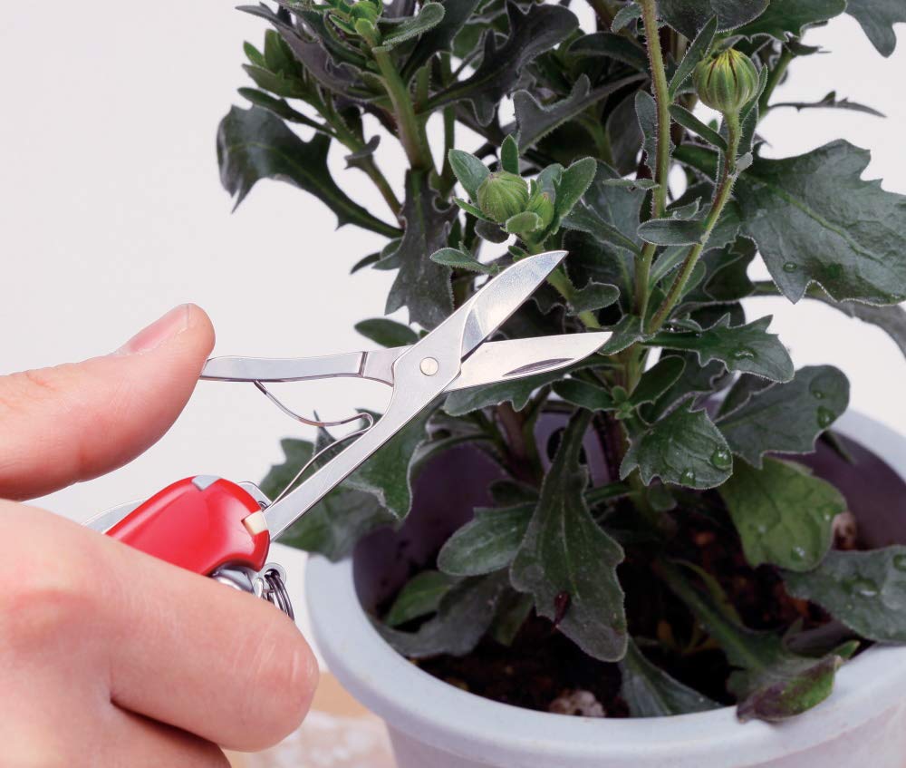 Нож VICTORINOX Венгер [] 0.6423.91