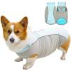 Cool Dog Clothes Cool Down In Summer Pet Vest Cool Clothes Breathable Corgi Spring and Summer Clothes New